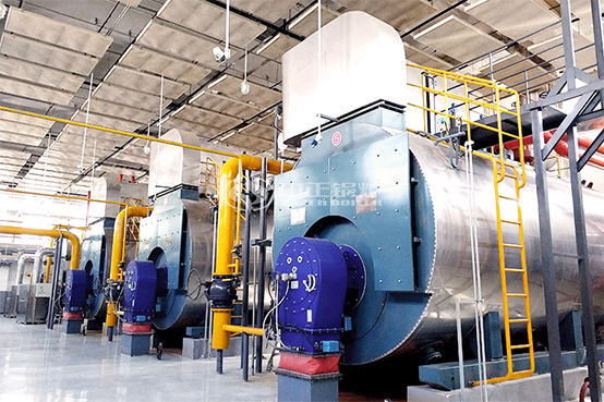 14MW-WNS燃?xì)忮仩t